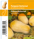 Pompoen butternut (tray 12 pot)